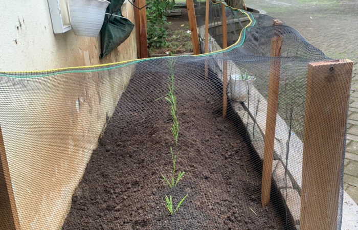 WhatsApp Image 2023-02-03 at 21.15.09 (2)